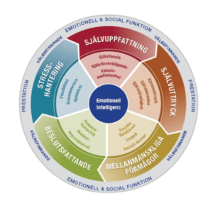 EQ-i2.0 Emotionell intelligens